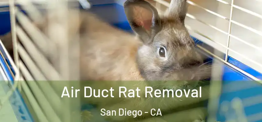 Air Duct Rat Removal San Diego - CA