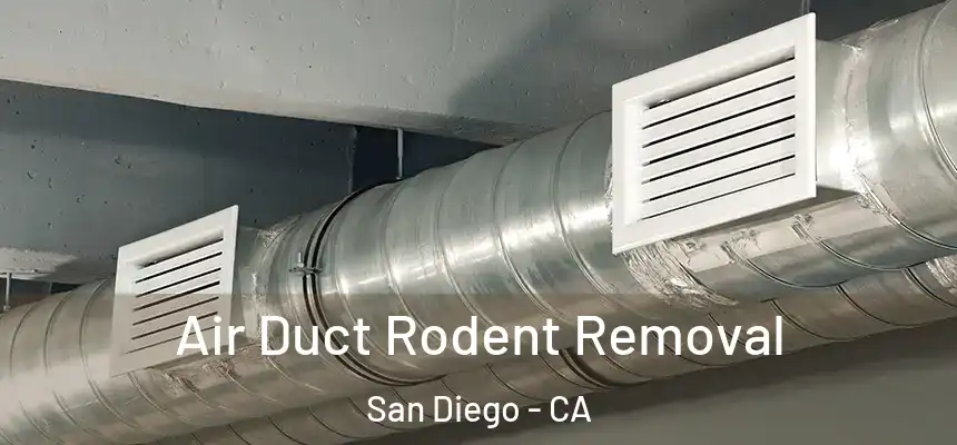 Air Duct Rodent Removal San Diego - CA