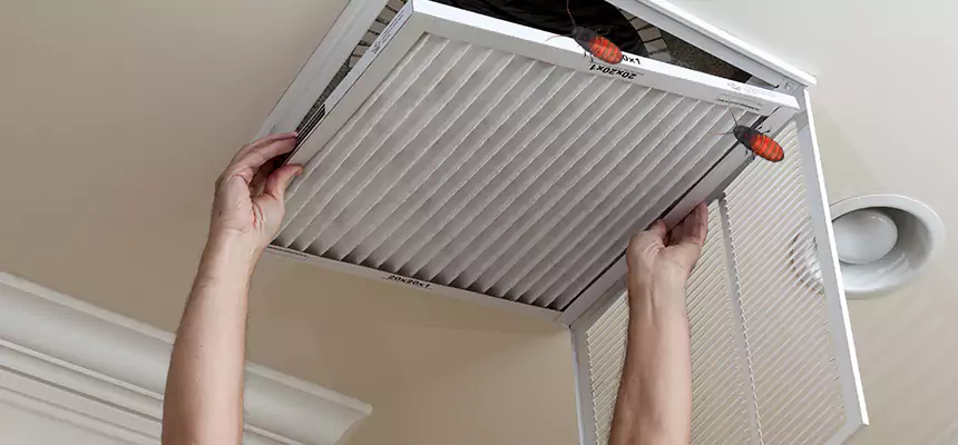 Preventive Cockroach-Proofing for Ducts in San Diego