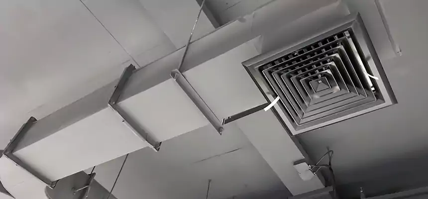 Restorative Allergy Relief Vent Cleaning – Coil, Blower & Housing Detail in San Diego