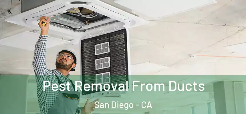 Pest Removal From Ducts San Diego - CA
