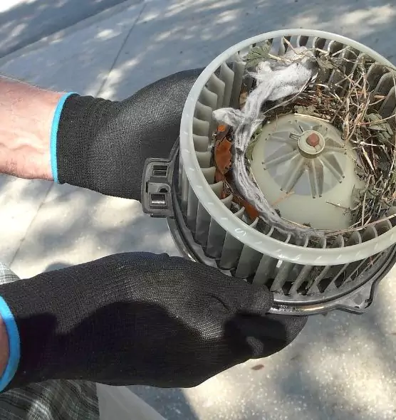 About Air Duct Mice Removal in San Diego, CA