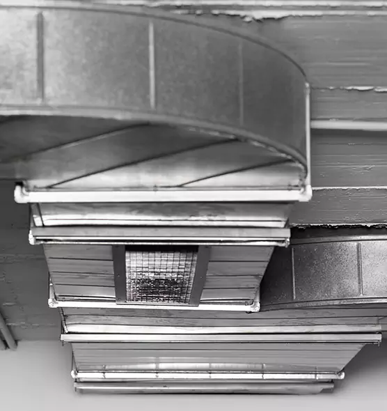 Professional Air Duct Pest Removal in San Diego, CA