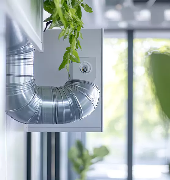 Professional Eco-Friendly Duct Cleaning Services in San Diego, CA