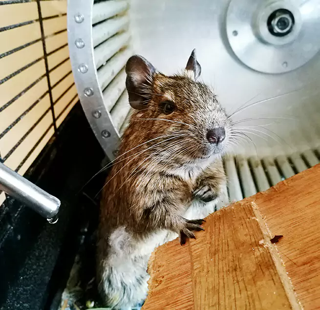 Why Homeowners & Businesses Trust Us San Diego, CA