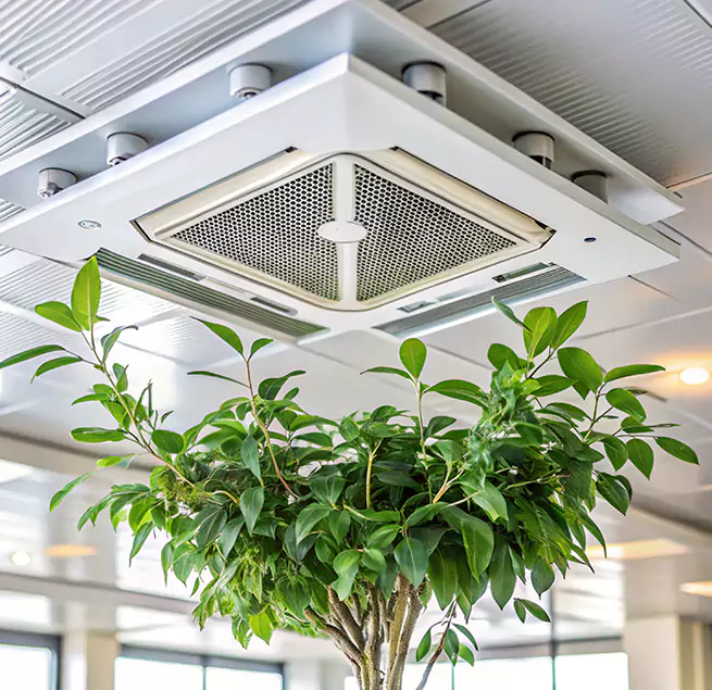 Why Homeowners & Businesses Trust Us in San Diego, CA